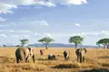Bis zum Horizont erstreckt sich die Grassavanne in der Serengeti, und Elefanten durchstreifen die „endlose Ebene“, wie der berühmte Nationalpark in der Massai-Sprache heißt. Auf unserer Rundreise durch Tansania können wir von unserem Camp aus nachts das Schreien der Hyänen und lautes Löwengebrüll hören.