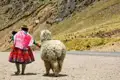 Im Hochland von Peru sind die Traditionen aus der Inkazeit noch immer lebendig. Auf unserer klassischen Studienreise durch Peru lernen wir das Lebensgefühl in den Anden kennen.