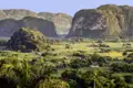 Eine Station der Studienreise durch ganz Kuba ist das Tal von Vinales mit seinen Kalkfelsen. Hier wächst der vielleicht beste Tabak der Welt.