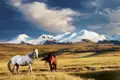 Auf Ihrer Expeditions-Rundreise durch die Mongolei erkunden Sie unter anderem von Jurtencamps aus Steppenlandschaften und Naturspektakel wie die Singenden Dünen und die Flammenden Klippen.