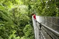 Auf unserer Studiosus-Reise in kleiner Gruppe durch Costa Rica erleben wir bei einem spannenden Baumwipfelspaziergang über Hängebrücken den tropischen Nebelwald in Monteverde und genießen einzigartige Ausblicke auf die üppige Flora und Fauna.