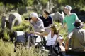 Mit Studiosus unterwegs auf Safari, Ihr Reiseleiter verspricht spannende Tiersichtungen.