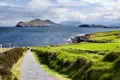 Die wunderschöne Natur der Grafschaft Kerry erkunden wir auf unserer Rundreise durch Irland bei einer Fahrt auf der berühmten Panoramastraße Ring of Kerry und bei Spaziergängen.