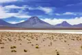 Auf unserer 16-tägigen Studienreise durch Chile erleben wir in der Atacamawüste die bizarren Mondlandschaften aus Sand und Salz, am Horizont reihen sich die mächtigen Vulkane der Anden auf. In der klaren, trockenen Luft wirken Farben und Formen besonders intensiv – ein echtes Naturwunder, das Besucher aus aller Welt in seinen Bann zieht. Wer unvergessliche Fotomotive und authentische Naturerlebnisse sucht, wird hier  fündig.