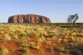 Majestätisch steht der Uluru (Ayers Rock) in der australischen Wüste. In den kühlen Morgenstunden entdecken wir den heiligen Berg der Aboriginals auf unserer Studienreise durch Australien und Neuseeland.