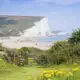 Wer mag, macht auf unserer Rundreise für Singles und Alleinreisende nach Südengland eine kleine Wanderung an den Kreidefelsen bei Brighton: Brachy Head und Seven Sisters.