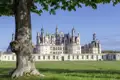 Das größte der Loireschlösser, Chambord, darf auf keiner Studienreise in diesen Teil Frankreichs fehlen. Fragen Sie Ihren Studiosus-Reiseleiter, warum ihnen bei der Besichtigung immer wieder ein Salamander "begegnet".
