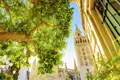 Die Giralda, der Glockenturm der Kathedrale von Sevilla, im Vordergrund ein Orangenbaum