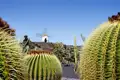In einem ehemaligen Steinbruch auf Lanzarote erschuf César Manrique einen kunstvoll angelegten Kakteengarten, den Jardín de Cactus, mit über 1400 Arten, dessen Besuch auf der Gruppenreise von Studiosus natürlich nicht fehlen darf.