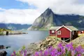 Auf unserer 11-tägigen Studienreise durch Lappland besuchen wir auch die Lofoten. Die roten Fischerhütten, die Rorbuer genannt werden, sehen wir dort in jedem Ort.