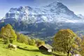Auf dem Programm dieser acht- bzw. zehntägigen Studienreise durch die Schweizer Bergwelt stehen faszinierende Berglandschaften, wie hier Grindelwald mit dem Eiger im Berner Oberland.
