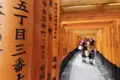 Auf unserer Eventreise durch Japan verbringen wir zwei Tage in Kyoto und begeben uns auf eine spirituelle Wanderung durch die roten Torii-Gänge des berühmten Fushimi-Inari-Schreins.