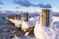 Entdecken Sie verschneite Holzpfähle an der Küste der Ostsee auf Ihrer Gruppenreise mit Studiosus.