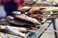 Gegrillter Fisch auf Spießen, ein Beispiel für die authentische lokale Küche, die Reisende während der Tour entdecken können.