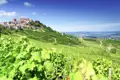 Grüne Weinberge im Barolo-Gebiet mit Blick auf das Weindorf La Morra auf einem Hügel unter blauem Himmel im Piemont, ein toller Ausblick auf unserer Gruppenreise mit Studiosus.