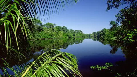 Ihre 17-tägige Studienreise durch Mittelamerika startet in Costa Rica – einem Naturparadies voller Kontraste. Erleben Sie dichten Dschungel, aktive Vulkane und eine beeindruckende Vielfalt an Tieren und Pflanzen hautnah auf spannenden Ausflügen.