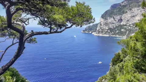 Ein Schiff bringt uns hinüber zur Insel Capri. Von der Villa Lysis genießen wir die Aussicht auf das tiefblaue Meer.
