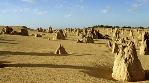 Oft heißt es auf unserer Studienreise Australien - die Große Australienreise: Vorhang auf für eine überwältigende Naturkulisse! So durchqueren wir endloses Buschland und bestaunen im Nambung-Nationalpark in Westaustralien die Pinnacles - Tausende von bizarren Steinsäulen, die aus dem Sand "wachsen".