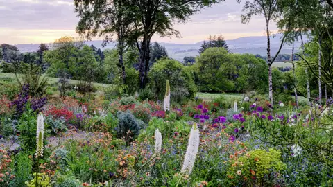 Auf unserer Rundreise mit Studiosus bewunder wir die üppigen und bunten Staudengarten mit Blick auf die sanften, grünen Hügel des Hunting Brook Gardens in Irland bei Dämmerung.