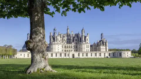 Das größte der Loireschlösser, Chambord, darf auf keiner Studienreise in diesen Teil Frankreichs fehlen. Fragen Sie Ihren Studiosus-Reiseleiter, warum ihnen bei der Besichtigung immer wieder ein Salamander "begegnet".