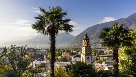 Mediterranes Flair in Meran: Palmen rahmen den Blick auf die Pfarrkirche St. Nikolaus und die Berglandschaft Südtirols, welche Sie auf der Eventreise bestaunen können.
