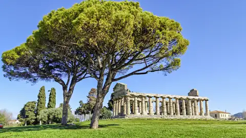 Bei unserer Rundreise dürfen wir die Tempelanlage von Paestum und ihre Umgebung besichtigen