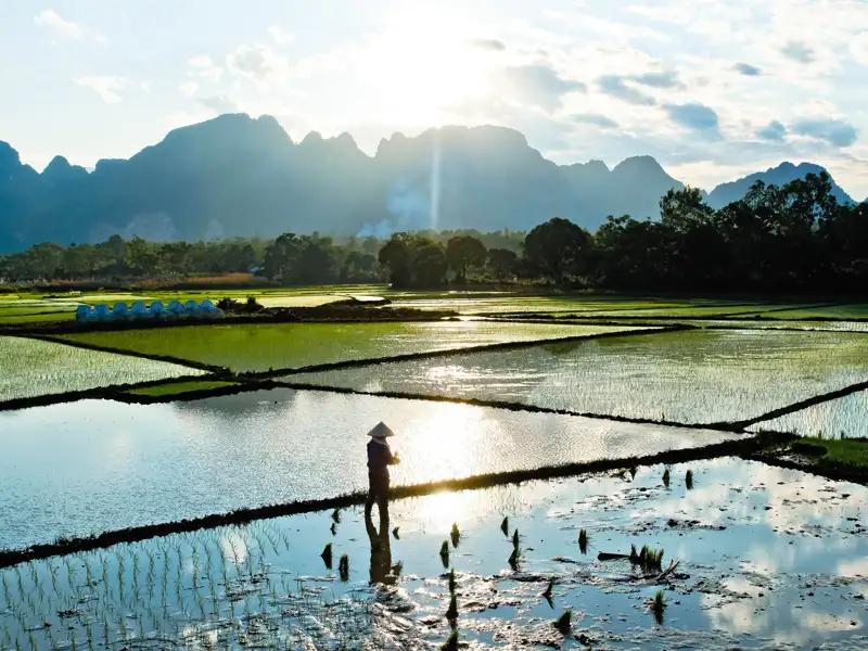 Abendstimmung über den Reisfeldern - ein typisches Bild auf dieser unserer Studienreise durch Indochina