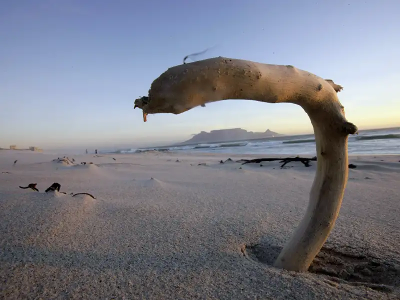 Finale unserer zwei Wochen Südafrika mit Studiosus ist das grandiose Kapstadt