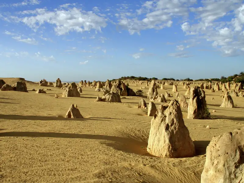 Oft heißt es auf unserer Studienreise Australien - die Große Australienreise: Vorhang auf für eine überwältigende Naturkulisse! So durchqueren wir endloses Buschland und bestaunen im Nambung-Nationalpark in Westaustralien die Pinnacles - Tausende von bizarren Steinsäulen, die aus dem Sand "wachsen".