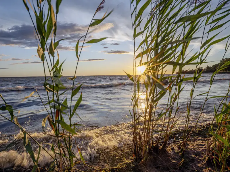 Während unserer smart&small-Rundreise durch Estland machen wir auch halt im Lahemaa-Nationalpark und genießen die unberührte Natur.
