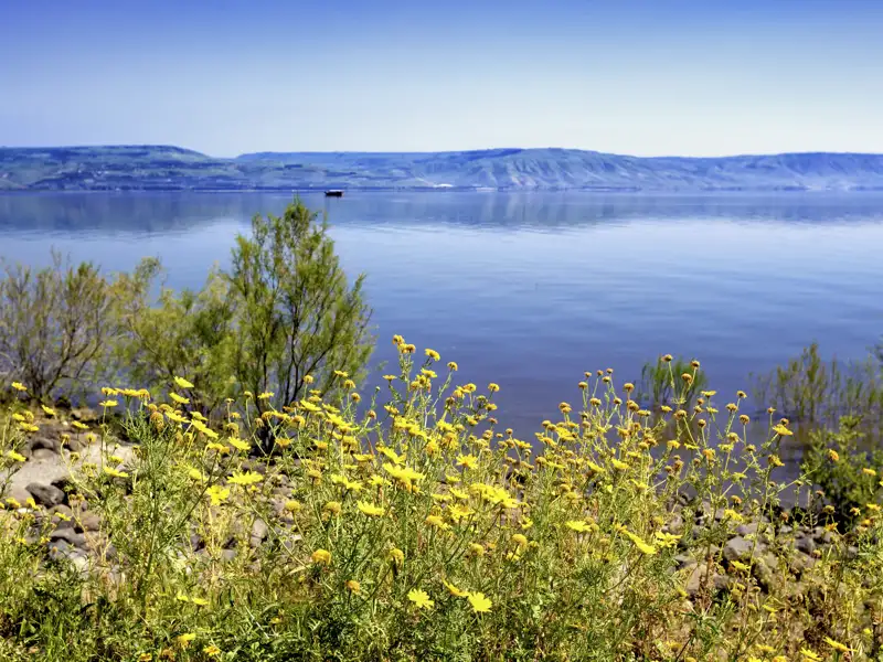 Vom Berg der Seligpreisungen genießen wir auf unserer smart & small Reise durch Israel den Blick auf den See Genezareth und die Golanhöhen.