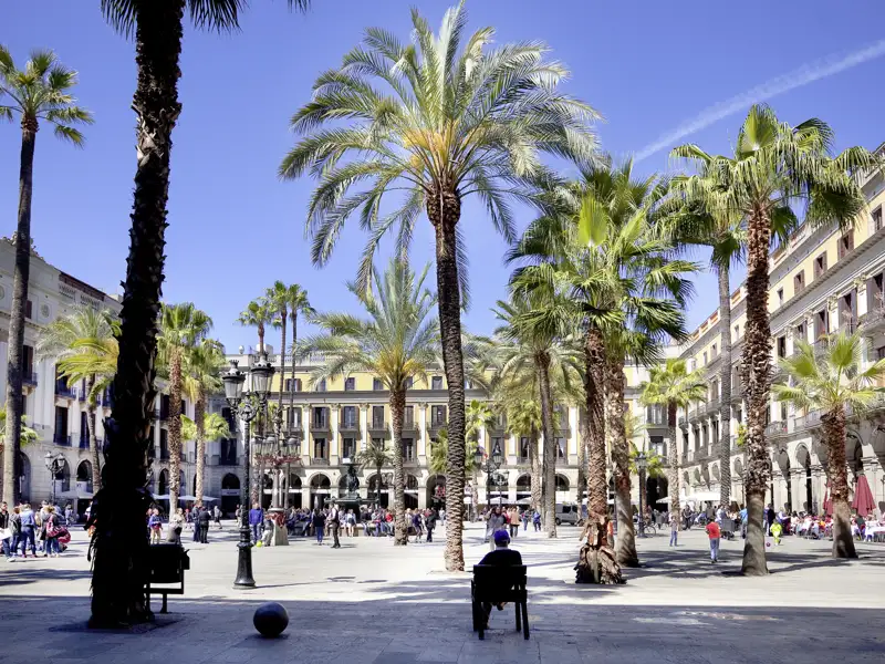 Eine gemütliche Pause auf der Placa Reial im Herzen von Barcelona auf der Städetreise mit Studiosus in die katalanische Hauptstadt