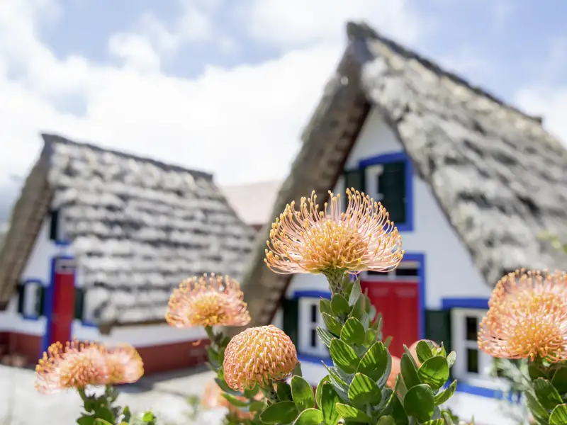 Auf unserer Singlereise durch Madeira über Silvester lernen wir Land und Leute der schönen Insel kennen.