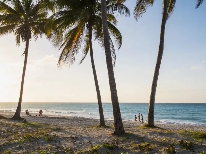 Weißer Strand, kristallklares Meer und karibisches Flair – so traumhaft endet Ihre me & more-Reise für Singles und Alleinreisende durch Kuba, bevor es wieder nach Hause geht.