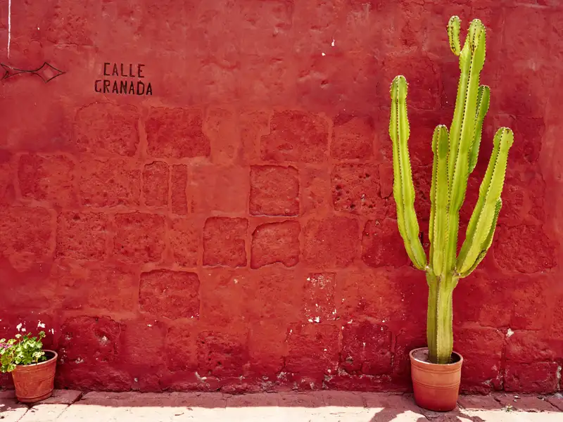 Unsere 21-tägige klassische Studienreise durch Peru macht auch halt in Arequipa im Süden Perus. Dort besuchen wir die farbenfrohe Klosteranlage Santa Catalina, eine Stadt in der Stadt.