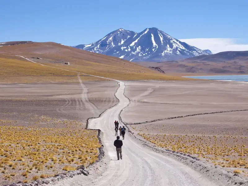 Die Welt der Anden hat ihren ganz eigenen Reiz. Auf unserer klassischen Studienreise durch Peru erleben wir die eindrucksvollen Gipfel der "weißen Kordillere" genauso wie das weite Hochland zwischen Arequipa und dem Titicacasee.