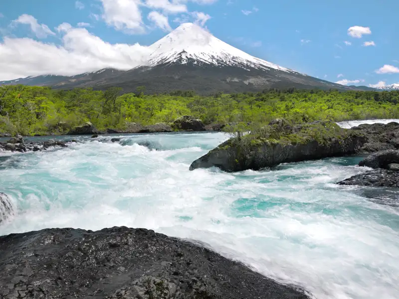 Auf unserer 22-tägigen Reise nach Südchile und Patagonien zeigt sich die Landschaft nicht nur auf unserer Wanderung zu den Petrohué-Wasserfällen mit Blick auf den Vulkan Osorno in seiner ganzen Pracht.