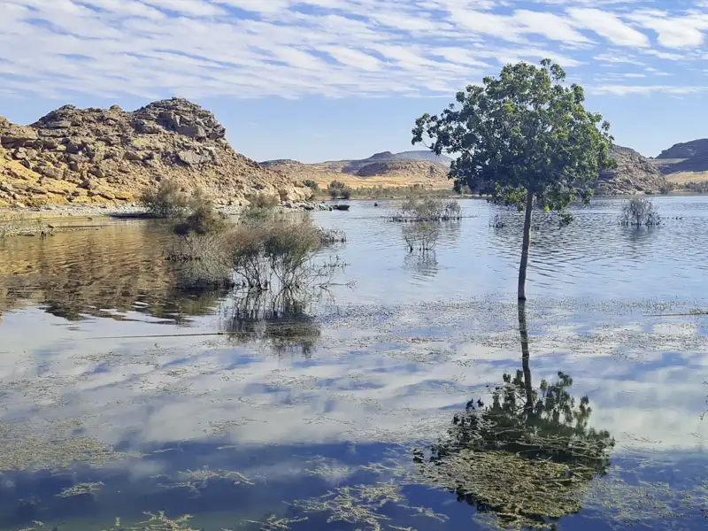 Bei unserer Kreuzfahrt-Studienreise nach Ägypten lichten wir den Anker und reisen auf einem der größten Stauseen der Welt. Wenn Sonnengott Re am Abend wieder in die Unterwelt abtaucht und der Abendhimmel seinen Farbenzauber entfacht, genießen wir die Stimmung an Deck mit Poesie im Ohr und einem Glas Wein in der Hand.