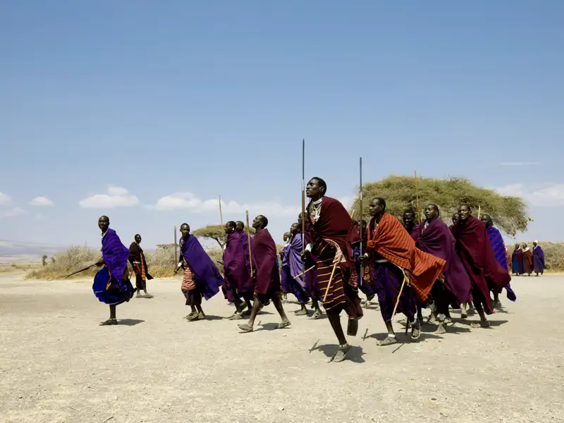 Bei unserer Studienreise nach Kenia und Tansania werden Sie sicherlich auch in friedlichen Kontakt mit den einheimischen Massai-Kriegern kommen.