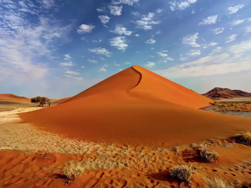 Namibia im Überblick, eine kompakte Rundreise mit Studiosus zu den Naturwundern im südlichen Afrika, natürlich mit den berühmten Dünen der Namibwüste am Sossusvlei. Die 95.000 Quadratkilometer umfassende Wüste Namib beeindruckt durch ihre meterhohen Dünen und überraschend gut angepasste Pflanzen und Tiere.