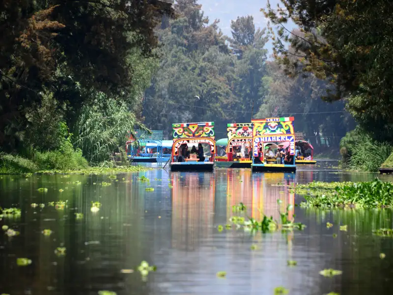Auf unserer Studieneise durch Mexiko gleiten wir  mit den typischen, bunt bemalten Holzkähnen durch die Kanäle der schwimmenden Gärten von Xochimilco.
