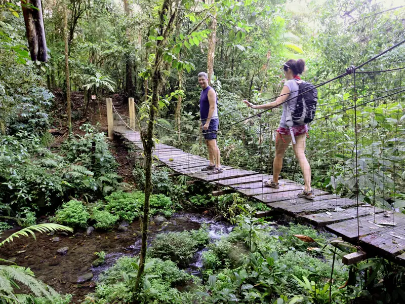 Natur pur auf unserer Rundreise durch Costa Rica, Nicaragua und Panama. Wir wandern durch den Regenwald.