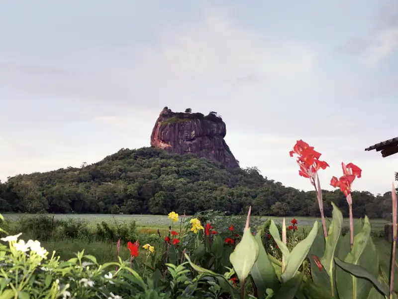 Auf unserer Studienreise durch Sri Lanka erklimmen wir die vielen Stufen hinauf zur Festung auf dem Löwenfelsen Sigiriya. Unterwegs grüßen die Fresken der Wolkenmädchen die Besucher.