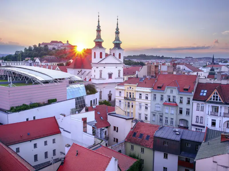 Auf Ihrer Studienreise durch Schlesien, Böhmen und Mähren erkunden Sie gemeinsam mit Ihrer Gruppe und Ihrem Studiosus-Reiseleiter auch die wunderschön restaurierte Altstadt von Brünn (Brno) in Tschechien.