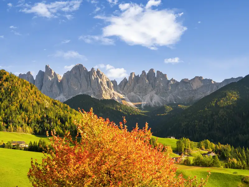 Ihr Studiosus-Reiseleiter macht Sie mit den markaten Bergen der Domomiten vertraut.