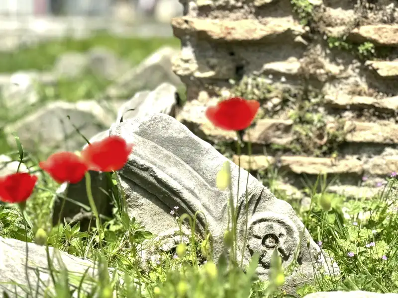 Einst der Mittelpunkt der Welt, heute ein Ruinenfeld, auf dem Gras und Blumen wachsen: das Forum Romanum. Auf unserer Städtereise nach Rom lässt Ihr Studiosus-Reiseleiter die einstige Pracht vor Ihrem geistigen Auge wiedererstehen.