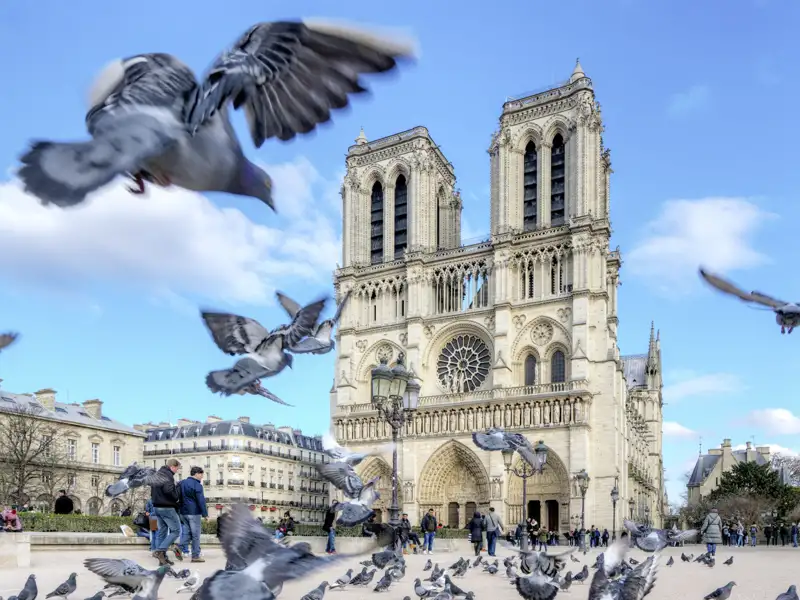 Kathedrale Notre-Dame in Paris mit Tauben auf dem Vorplatz