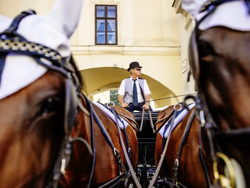 Haben Sie Lust, an einem der freien Nachmittage während Ihrer CityLights-Städtereise eine Runde mit einem Fiaker durch die Wiener Altstadt zu drehen?