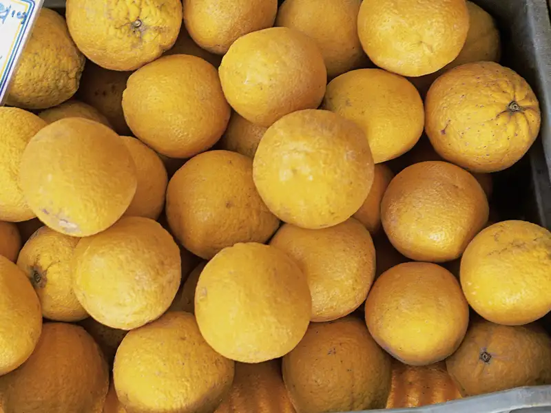 Orangen in einer Kiste auf Kreta