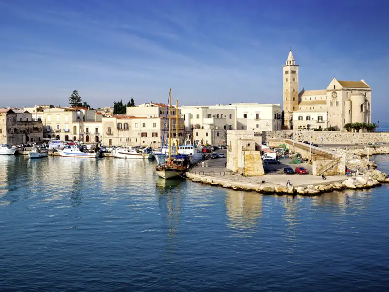 Postkarten-Italien in Trani: Yachten, die im schönsten Spätnachmittagslicht im Hafen schaukeln. Dahinter erhebt sich elegant die Kathedrale am Meer. Eindrücke auf unserer Apulienreise für Singles und Alleinreisende.